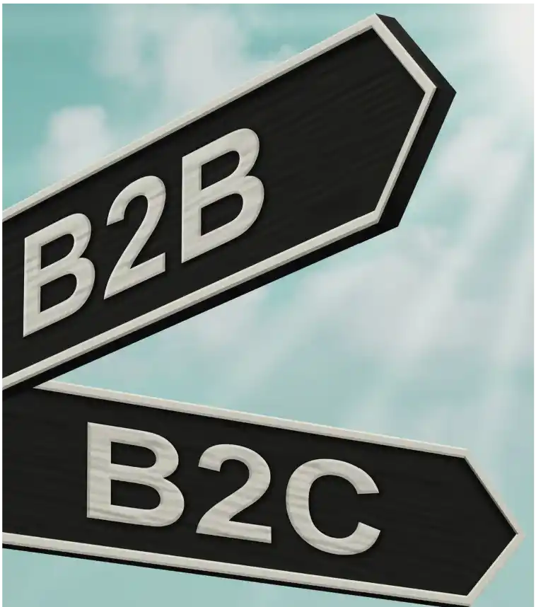 B2B B2C